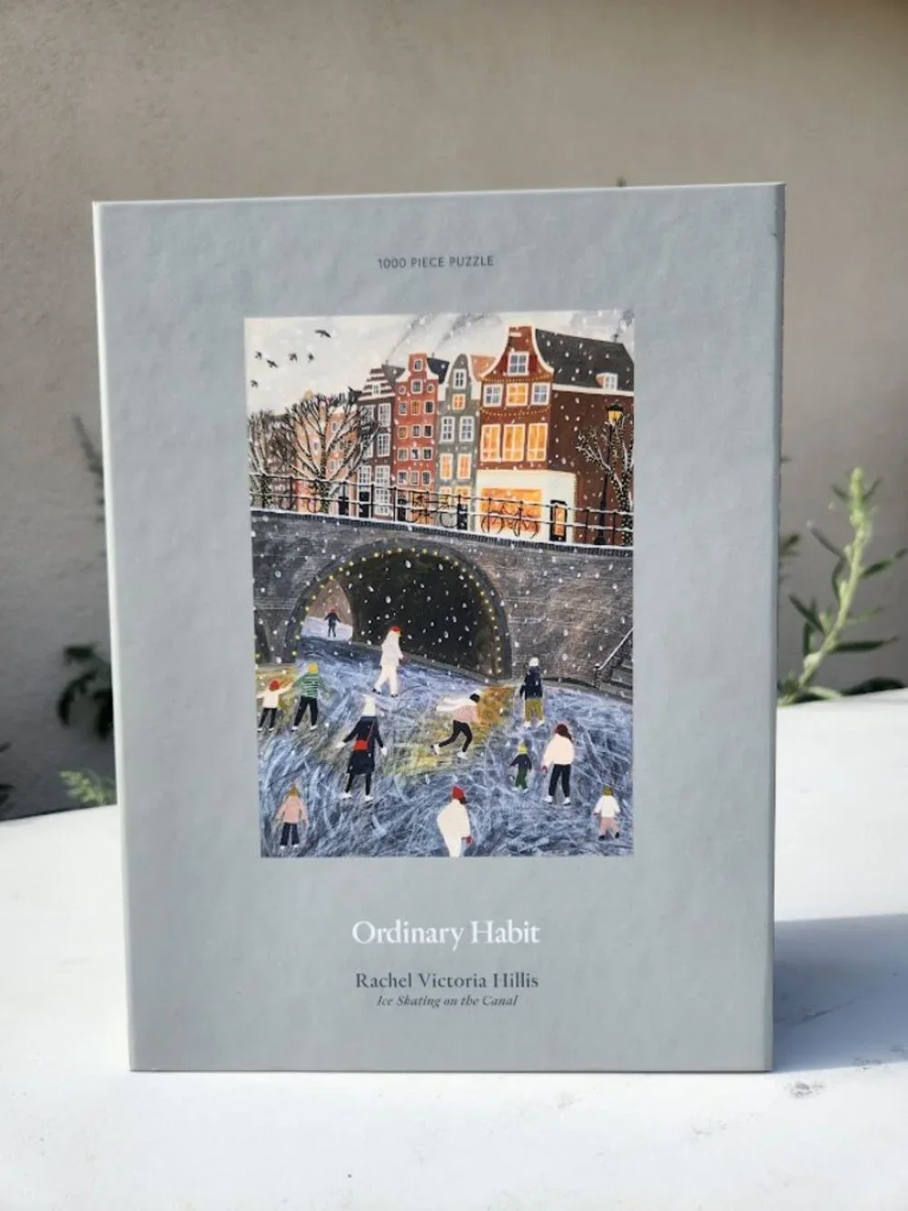 Ice Skating on the Canal 1000 Piece Puzzle Ordinary Habit Rachel Victoria Hillis
